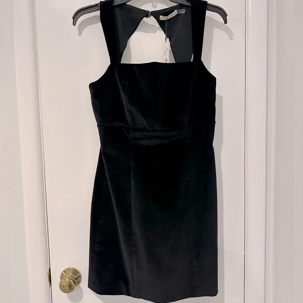 NWT Alice & Olivia Keria Mini Dress - Picture 5 of 8